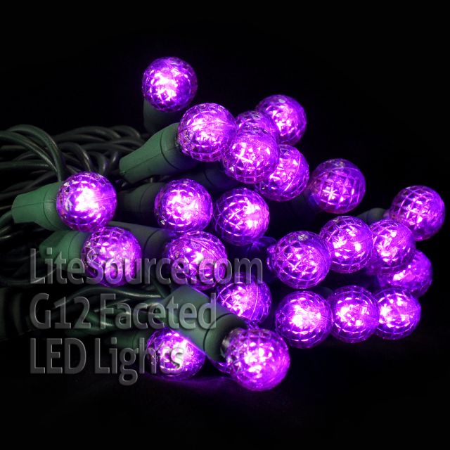 50 Light LED G12 Razzberry Style Light Set Purple Bulbs on Green Wire