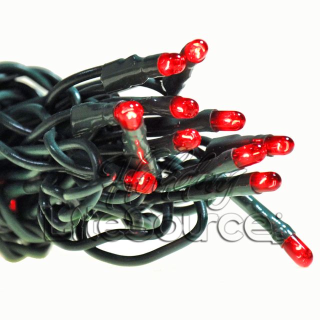50 Red Mini Lights on Green Wire