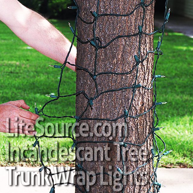 8 Ft Clear Tree Trunk Net Lights on Green Wire